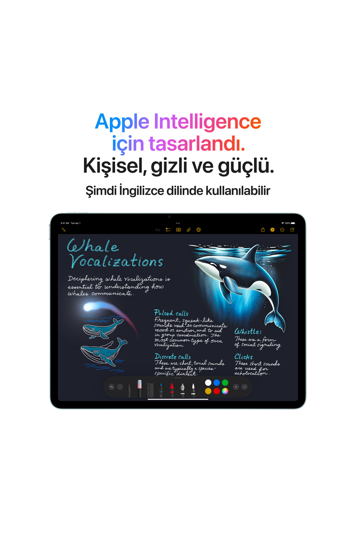 Apple 11" iPad Air Wi-Fi 128GB - Mor - M3 işlemci - 5
