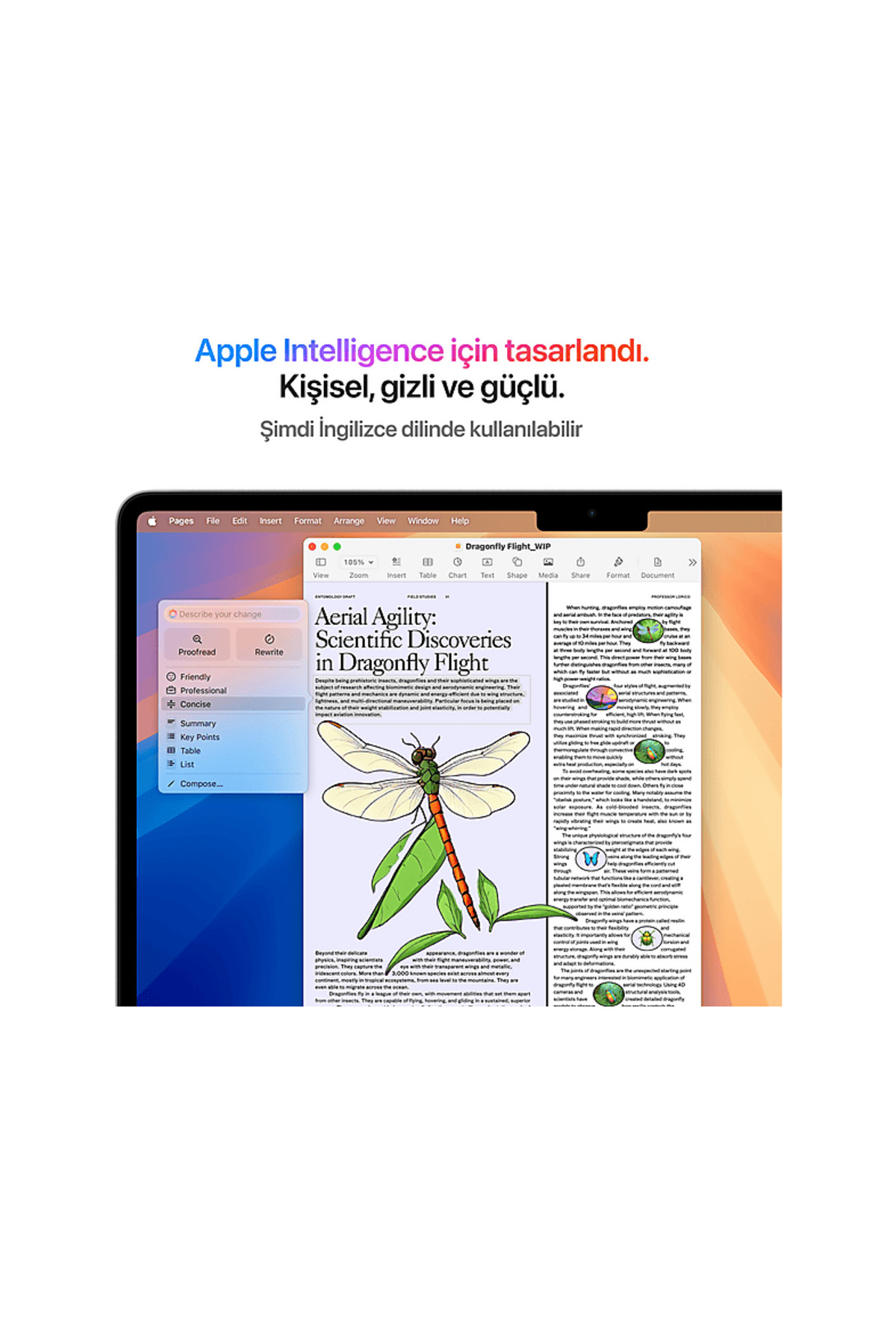 MW0W3TU/A/MacBook Air/Apple M4 İşlemci (10 Çekirdek CPU-8 Çekirdek GPU)/16GB RAM/256GB SSD/13. - 5